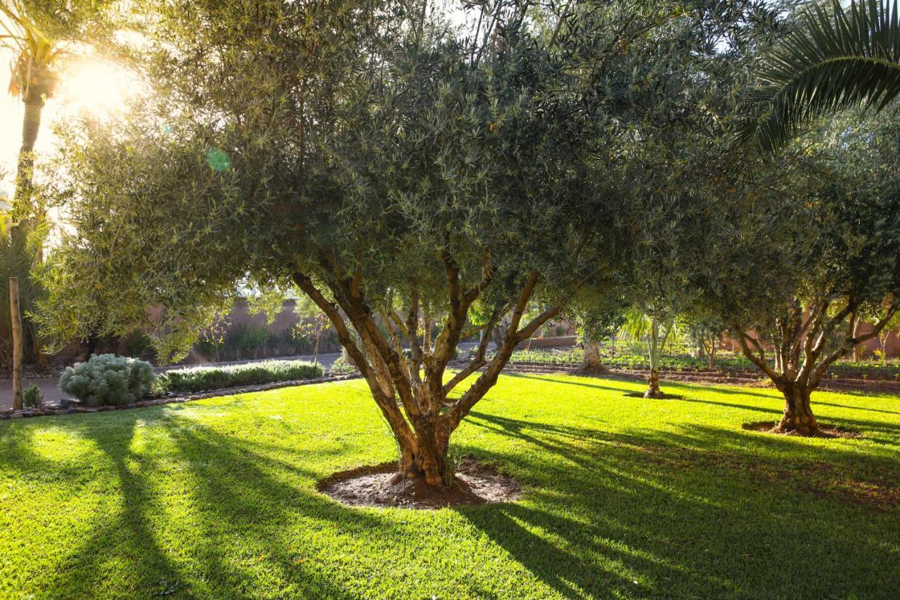Villa 55 Marrakech Marrakesz Zewnętrze zdjęcie